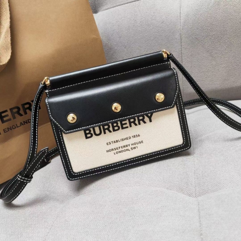 B**rry satchel bags